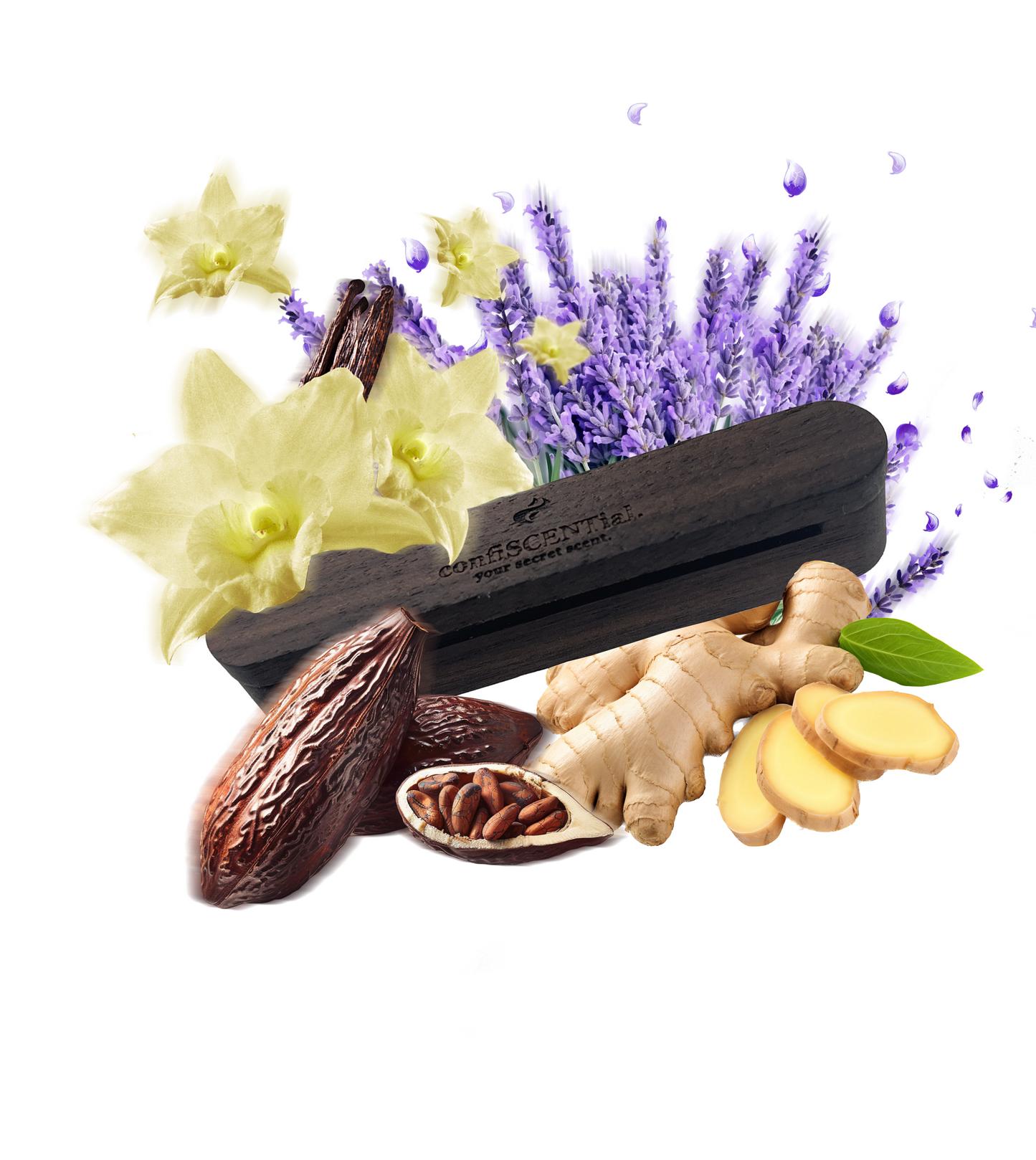 Autoduft No¹⁹ | Vanilleglanz | Frauenduft