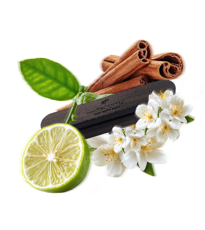 Autoduft No²¹ | Nachtglanz | Herrenduft